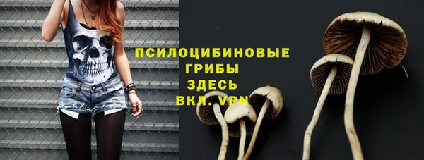 мет Алексин