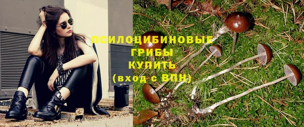 скорость Алексеевка