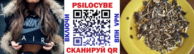 Псилоцибиновые грибы MAGIC MUSHROOMS  где купить наркотик  мориарти как зайти  Каргат 