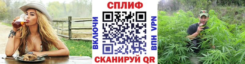 Конопля White Widow  Каргат 